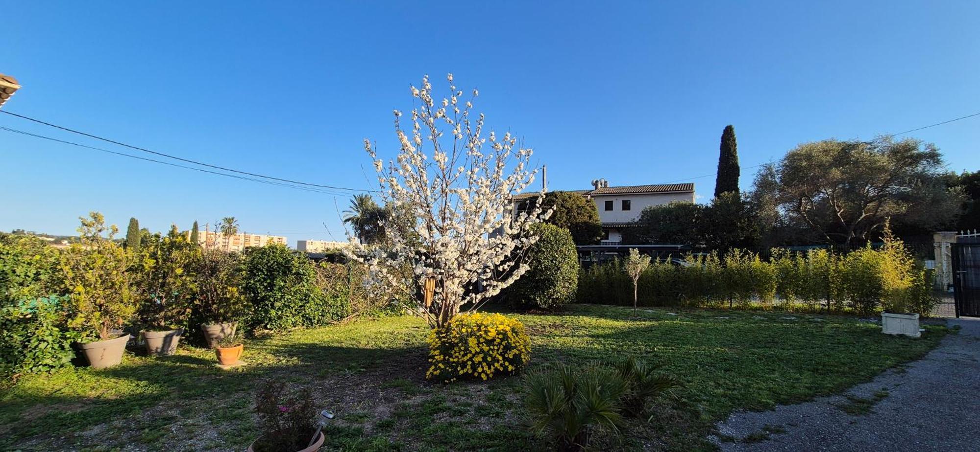 Affittacamere Independant Avec Terrasse A Juan Les Pins *